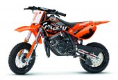2009 Malaguti Grizzly RCX 10 photo